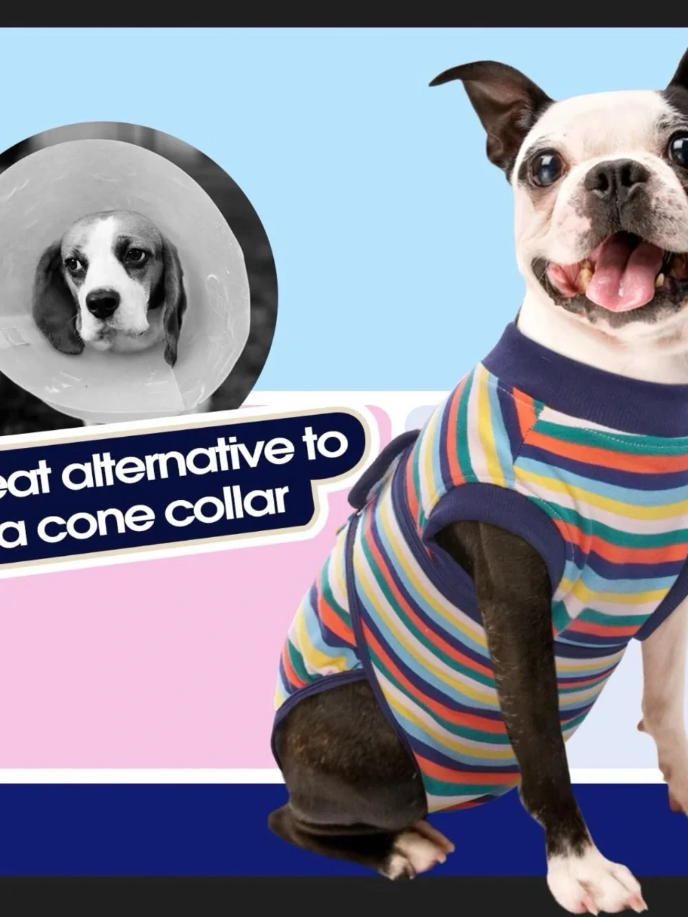 Striped Multicolor Dog Shirt - Rainbow Stripes